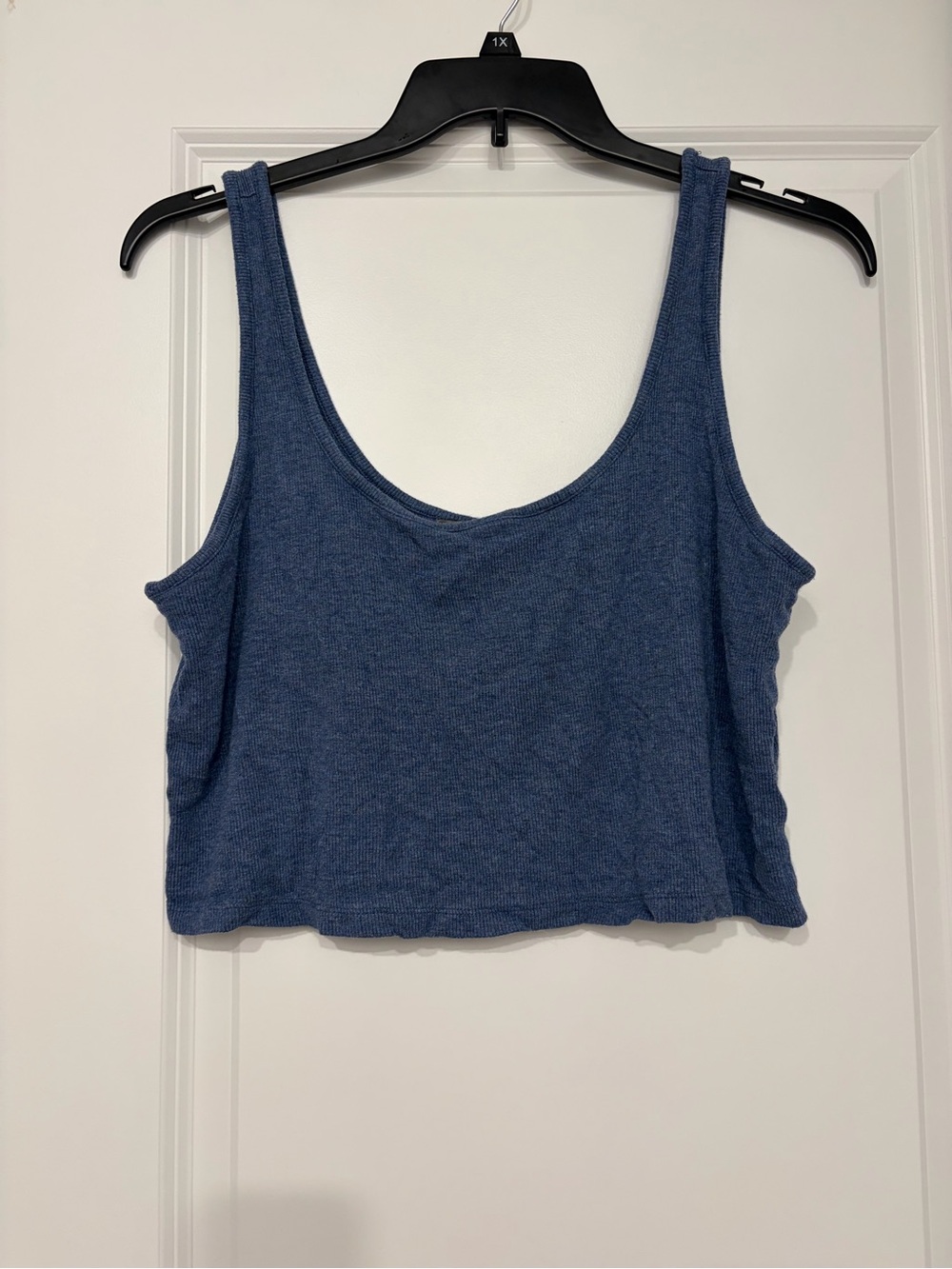 Natural Reflections Blue Cropped Tank Top